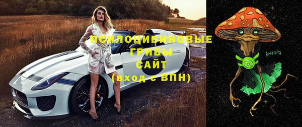 меф Алексин