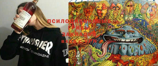 меф Алексин